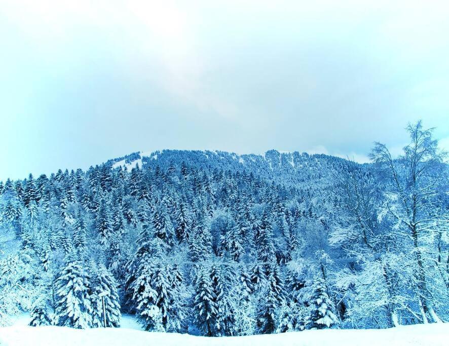 Boutx Logement 6 Pers Au Coeur Des Montagnes Pyreneennes Linge De Maison Et Papier Toilette Non Fournis מראה חיצוני תמונה